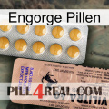 Engorge Pills 41